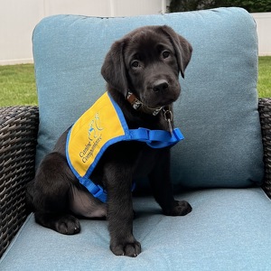 Fundraising Page: Sandra Slomovitz